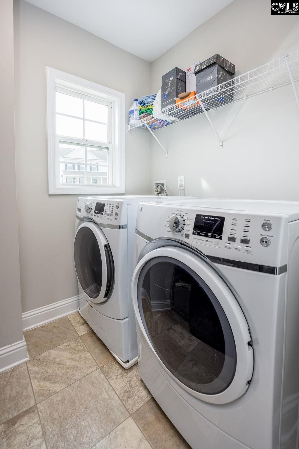 691 Gladiolus Photo 50