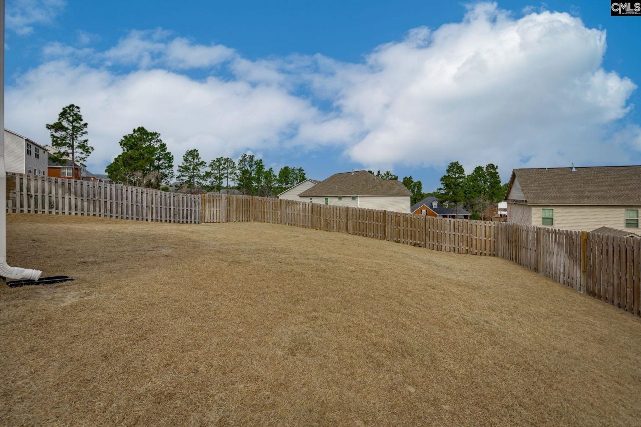 691 Gladiolus Photo 55