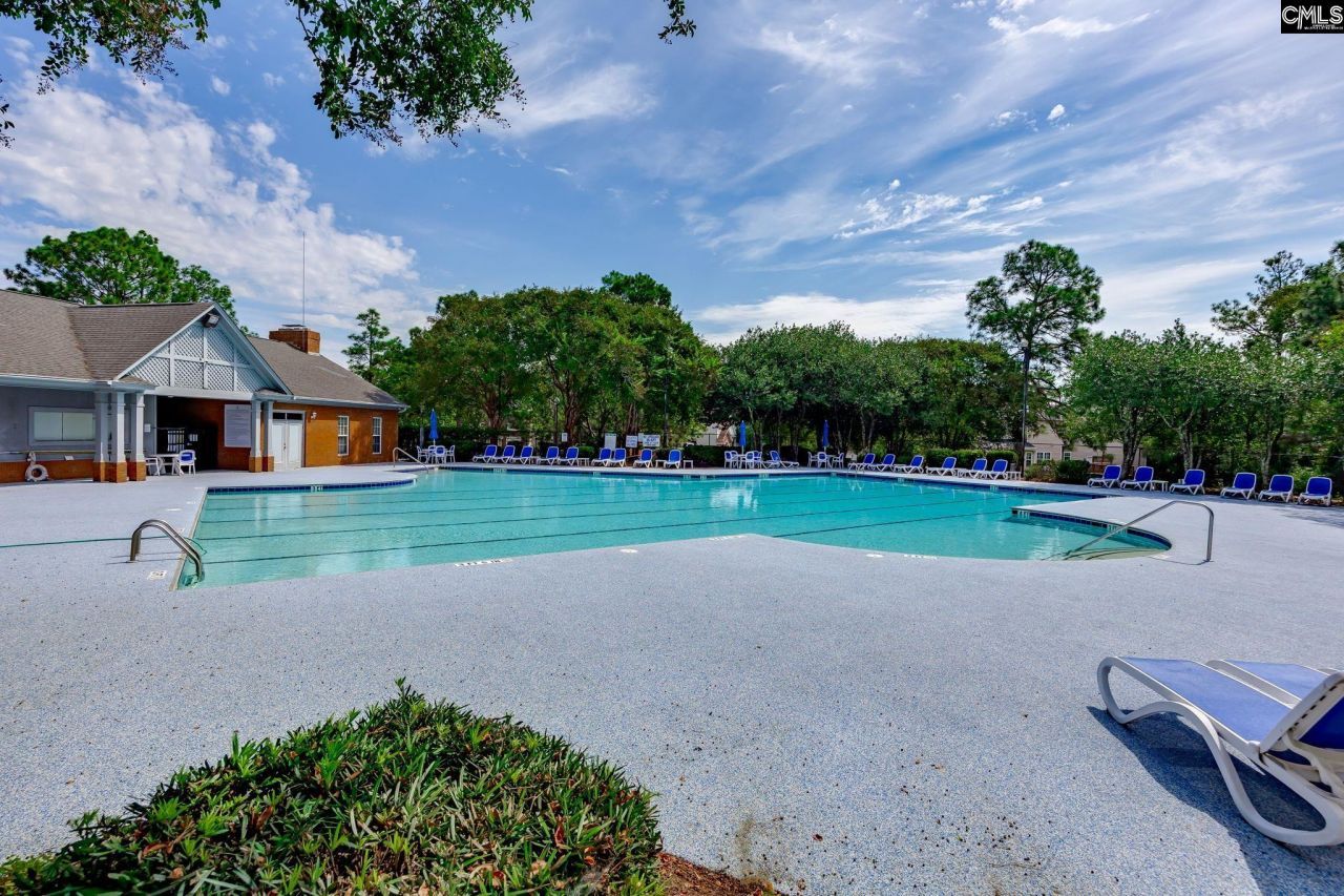 691 Gladiolus Photo 58