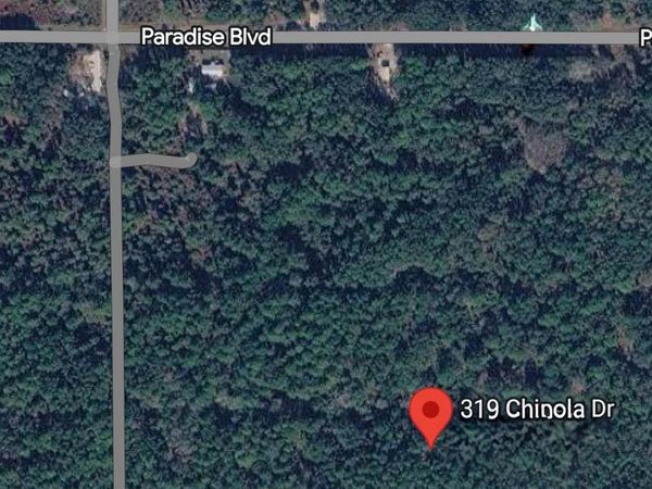 319 Chipola Dr, Georgetown, FL 32139