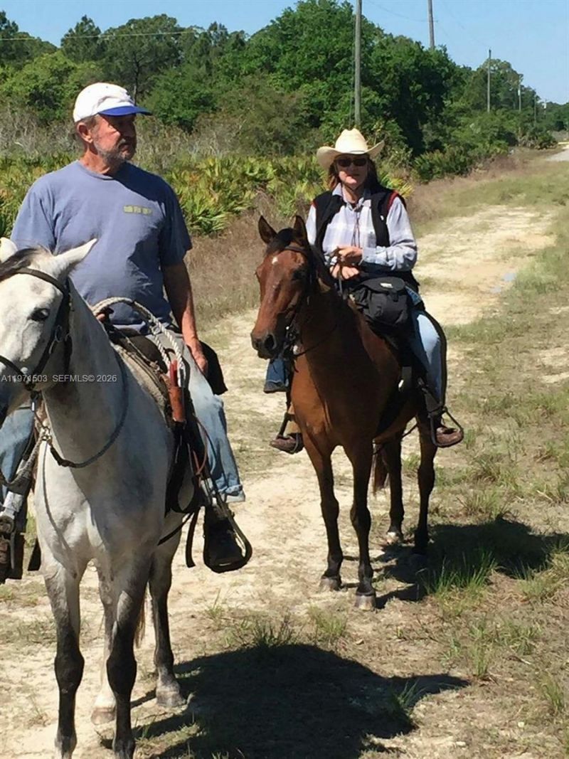 23261 Tuckahoe Rd , Alva, FL 33920 Photo