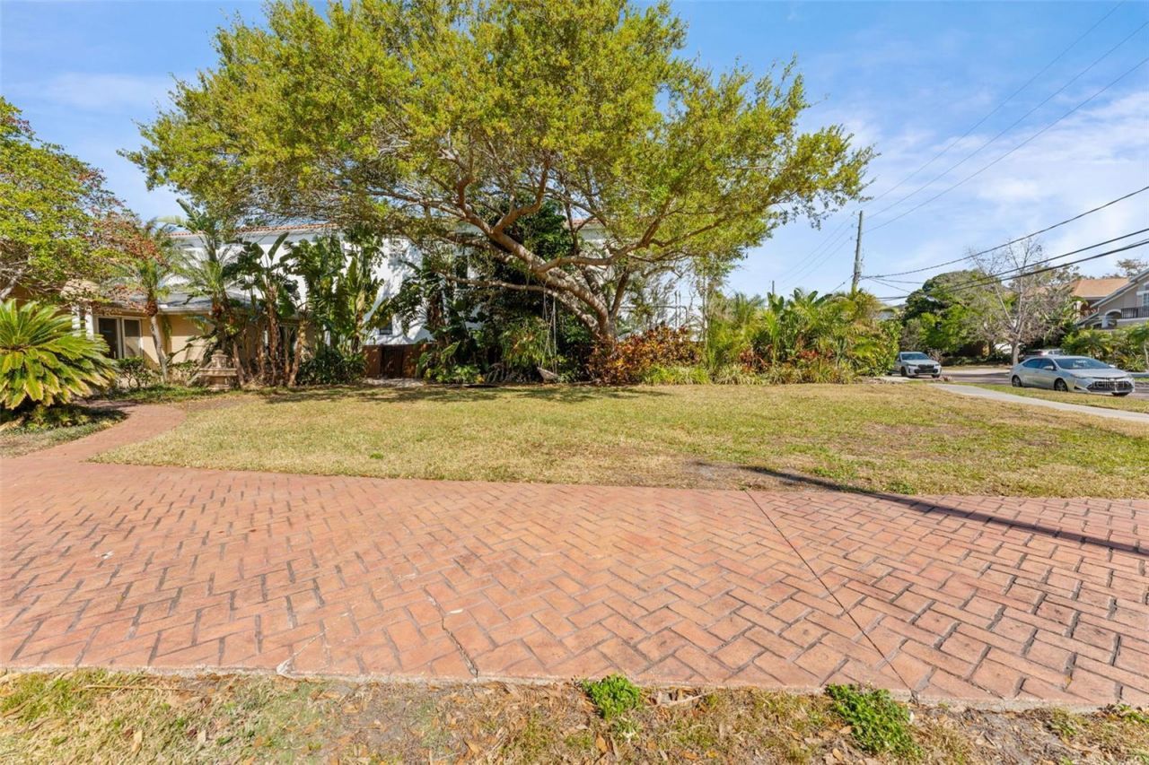 62 Adalia Avenue, Tampa, FL 33606 Photo