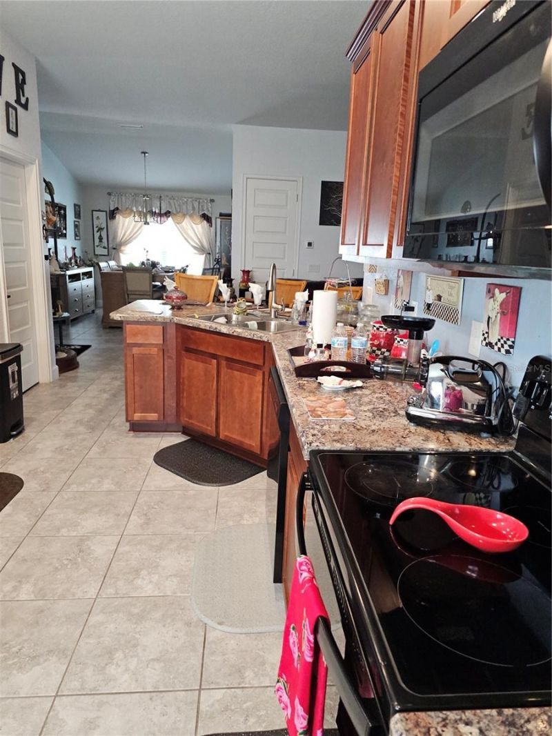 14438 Scottburgh Glen Drive, Wimauma, FL 33598 Photo