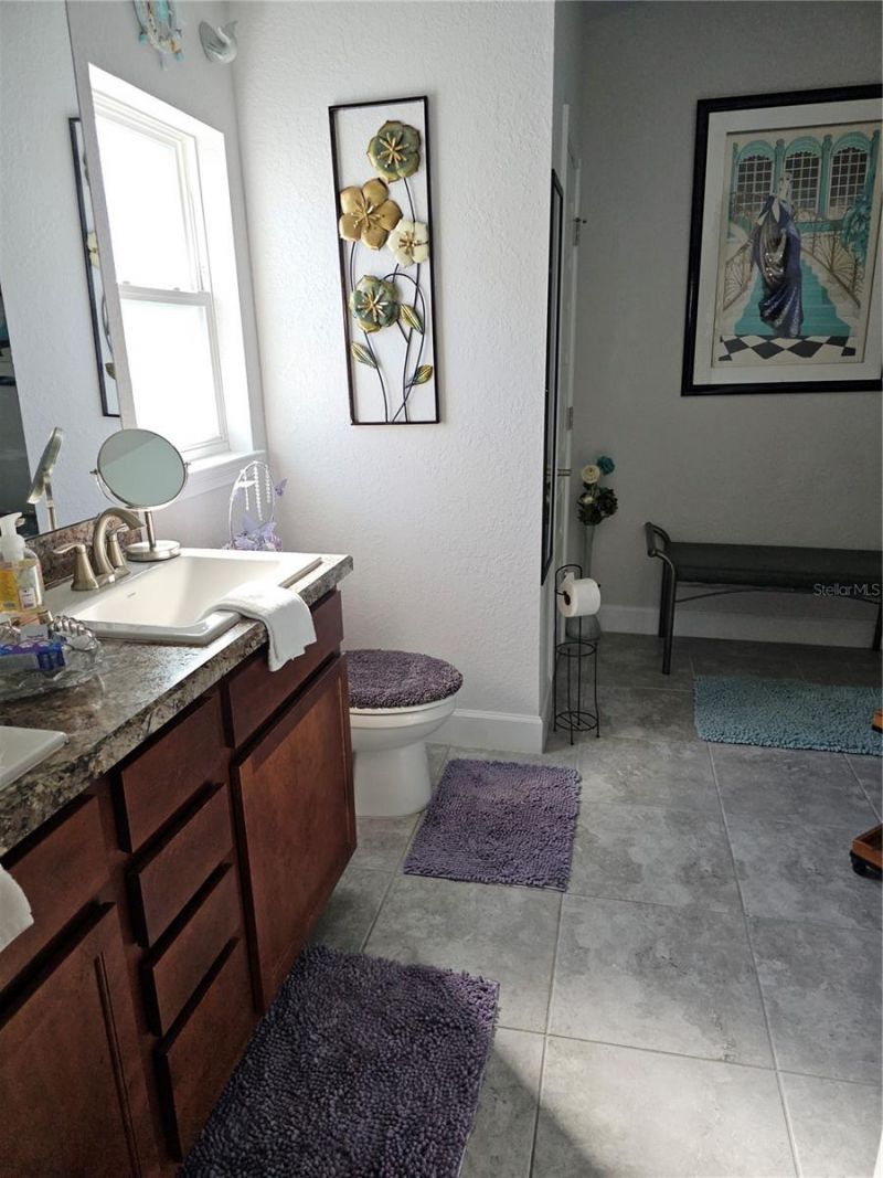 14438 Scottburgh Glen Drive, Wimauma, FL 33598 Photo