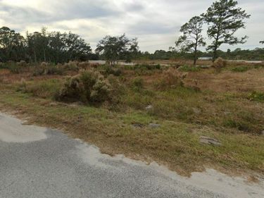 62 FISHER LOOP , OCKLAWAHA, FL 32179