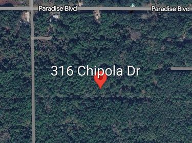 316 Chipola Dr, Georgetown, FL 32139