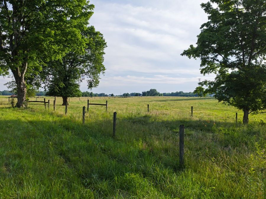Property Image 67