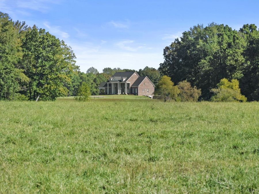 Property Image 74