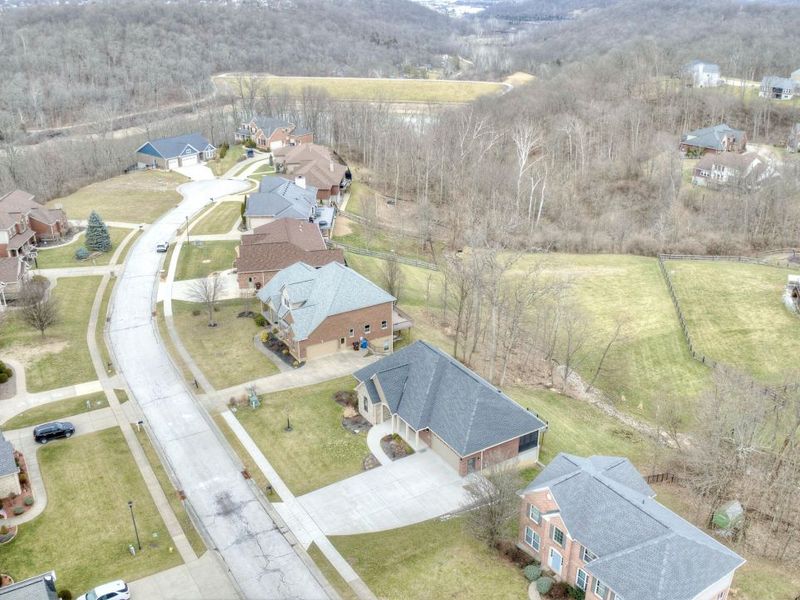 1468 Shirepeak Way, Independence, KY 41051 Photo 38