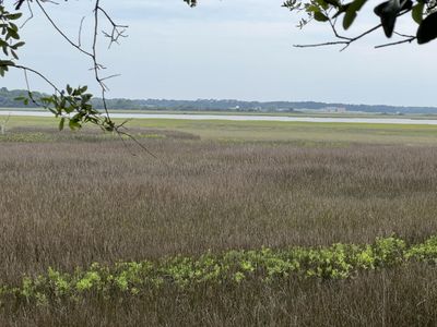 2017 Paul Chavis Lane, Charleston, SC 29412