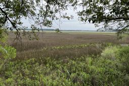 2017 Paul Chavis Lane photo 4