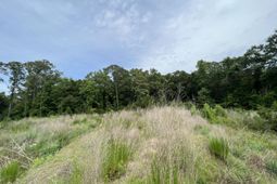 2017 Paul Chavis Lane photo 4