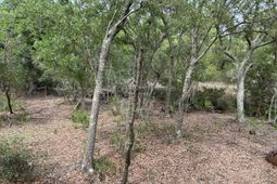 2017 Paul Chavis Lane photo 4