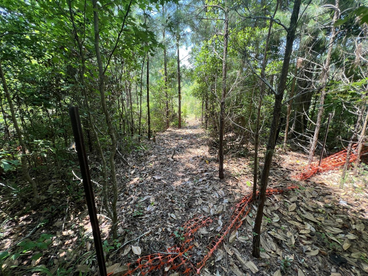 2017 Paul Chavis Lane Photo 5