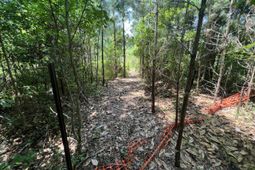 2017 Paul Chavis Lane photo 4