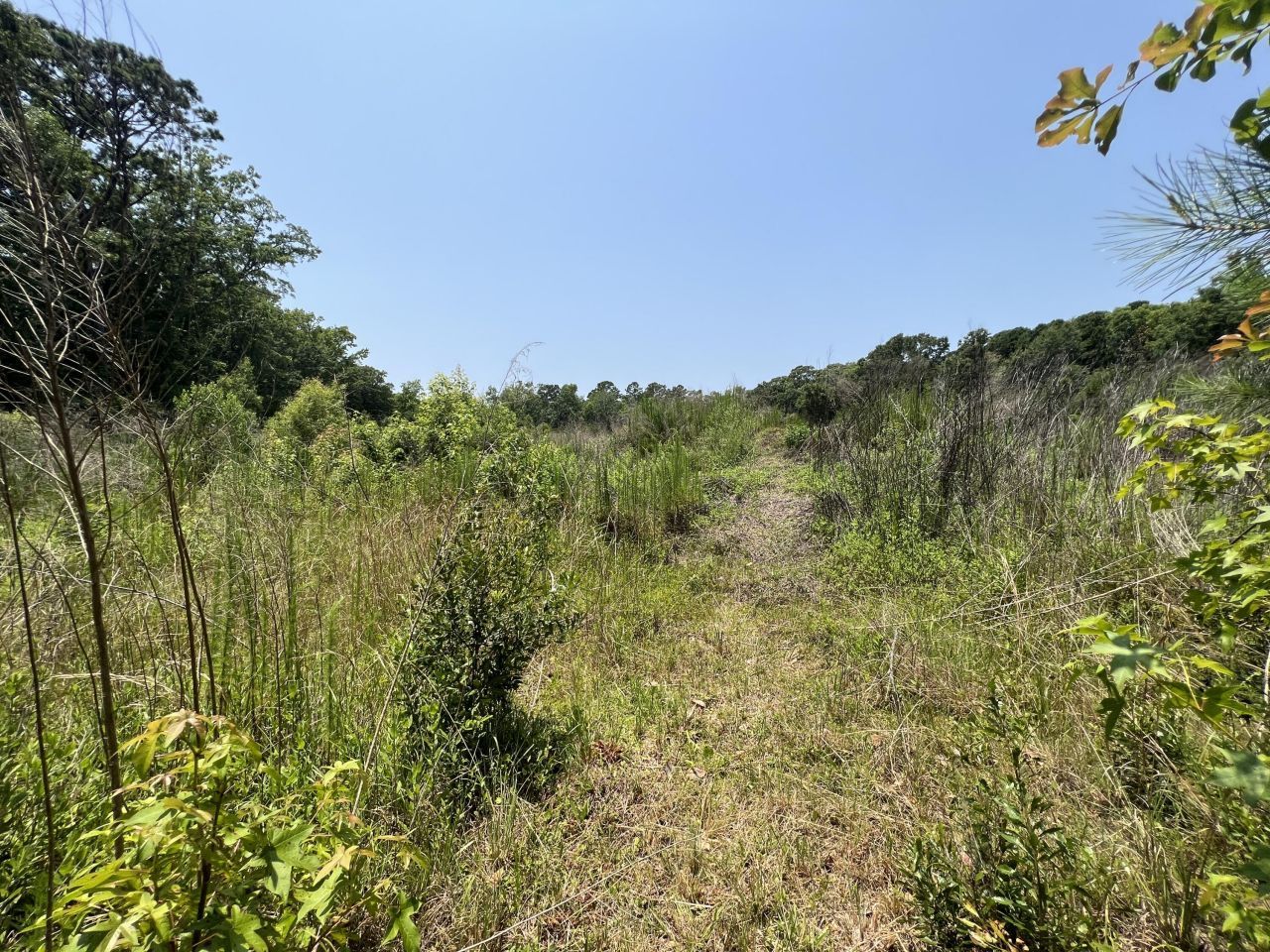 2017 Paul Chavis Lane Photo 6