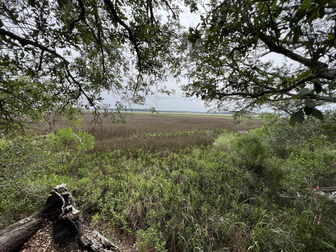 2017 Paul Chavis Lane Photo 8