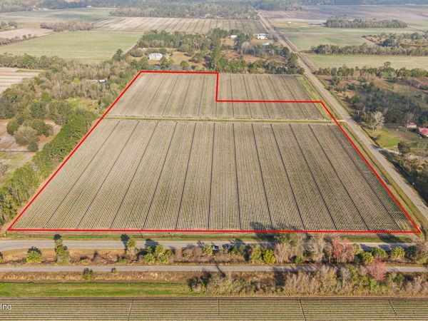 0 CARTER CRABTREE Road, East Palatka, FL 32131