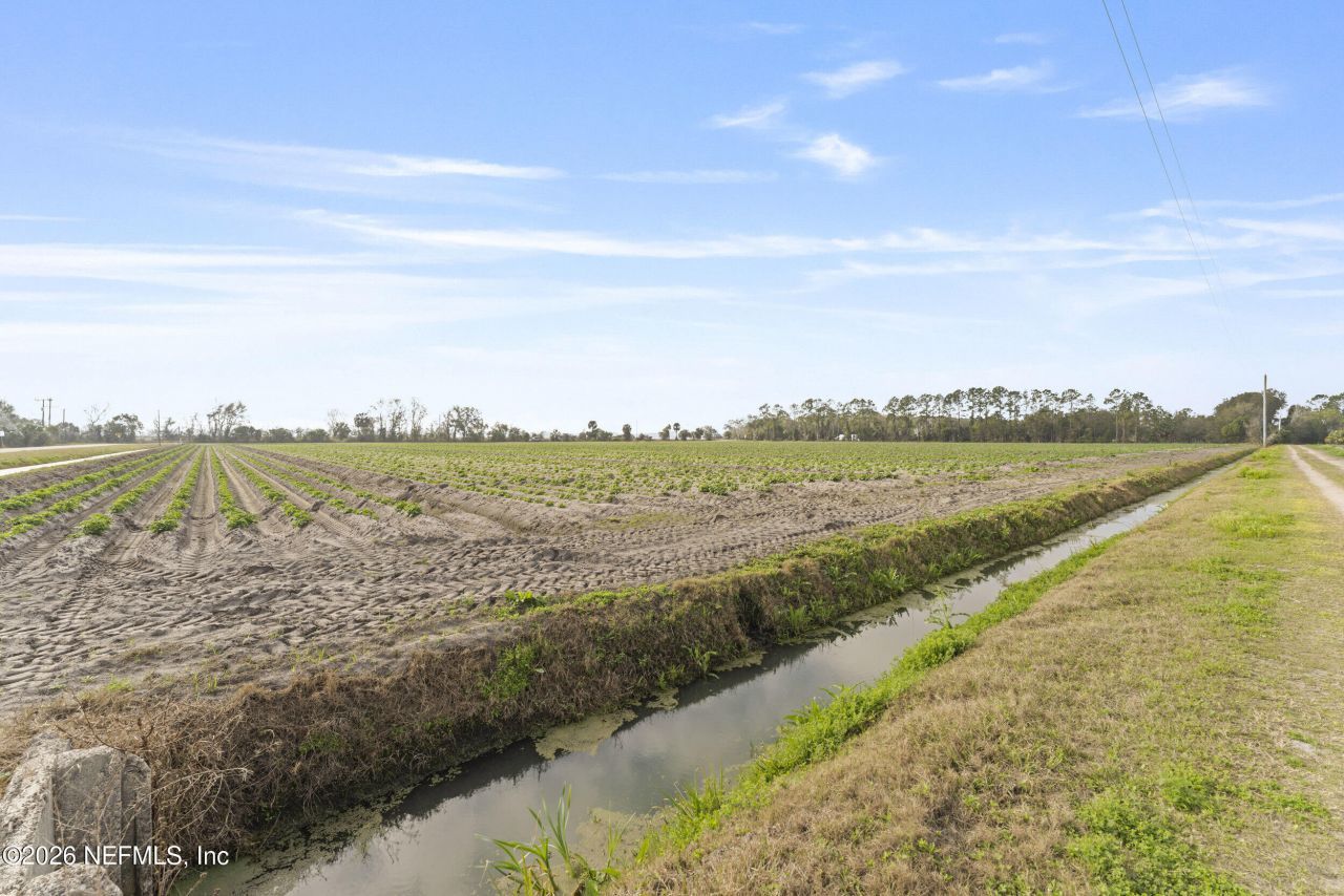 0 Carter Crabtree Road, East Palatka, FL 32131 Photo