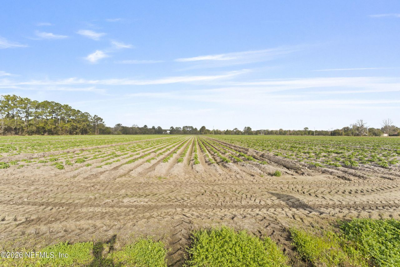 0 Carter Crabtree Road, East Palatka, FL 32131 Photo