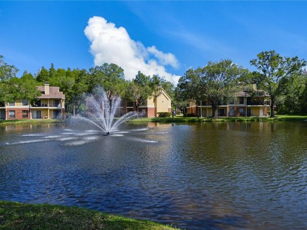 8627 FANCY FINCH DRIVE, TAMPA, FL 33614