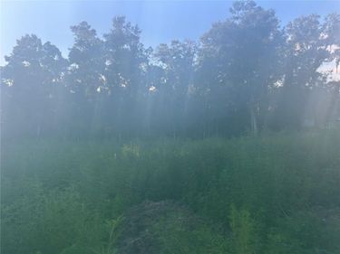 3528 W NIEMAN DRIVE , DUNNELLON, FL 34433