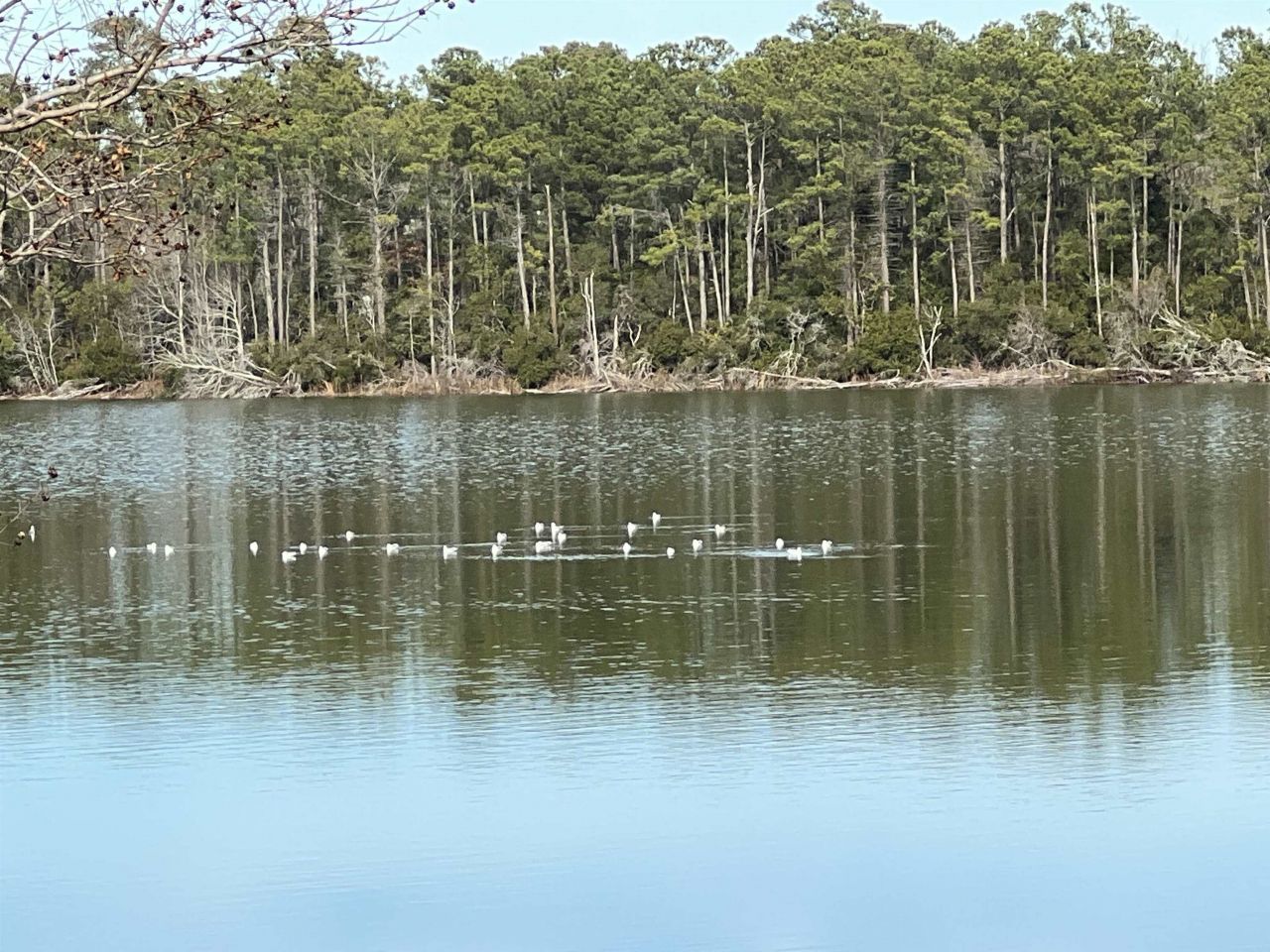 1617 Crystal Lake Dr.  Photo 40