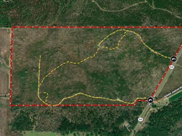 130.518 AC Ronnie Road, Buena Vista, GA 31803