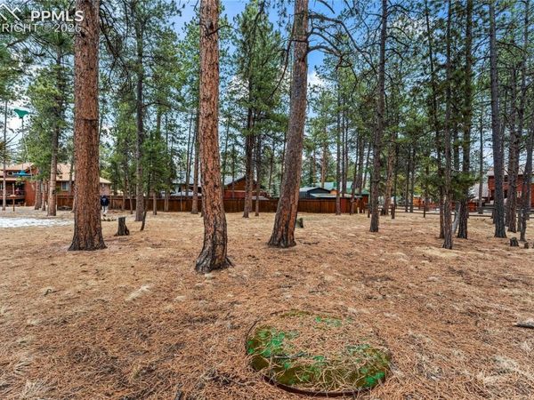 109 Flagstick Drive, Woodland Park, CO 80863