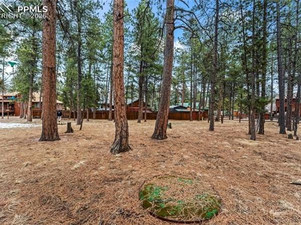 109 Flagstick Drive, Woodland Park, CO 80863