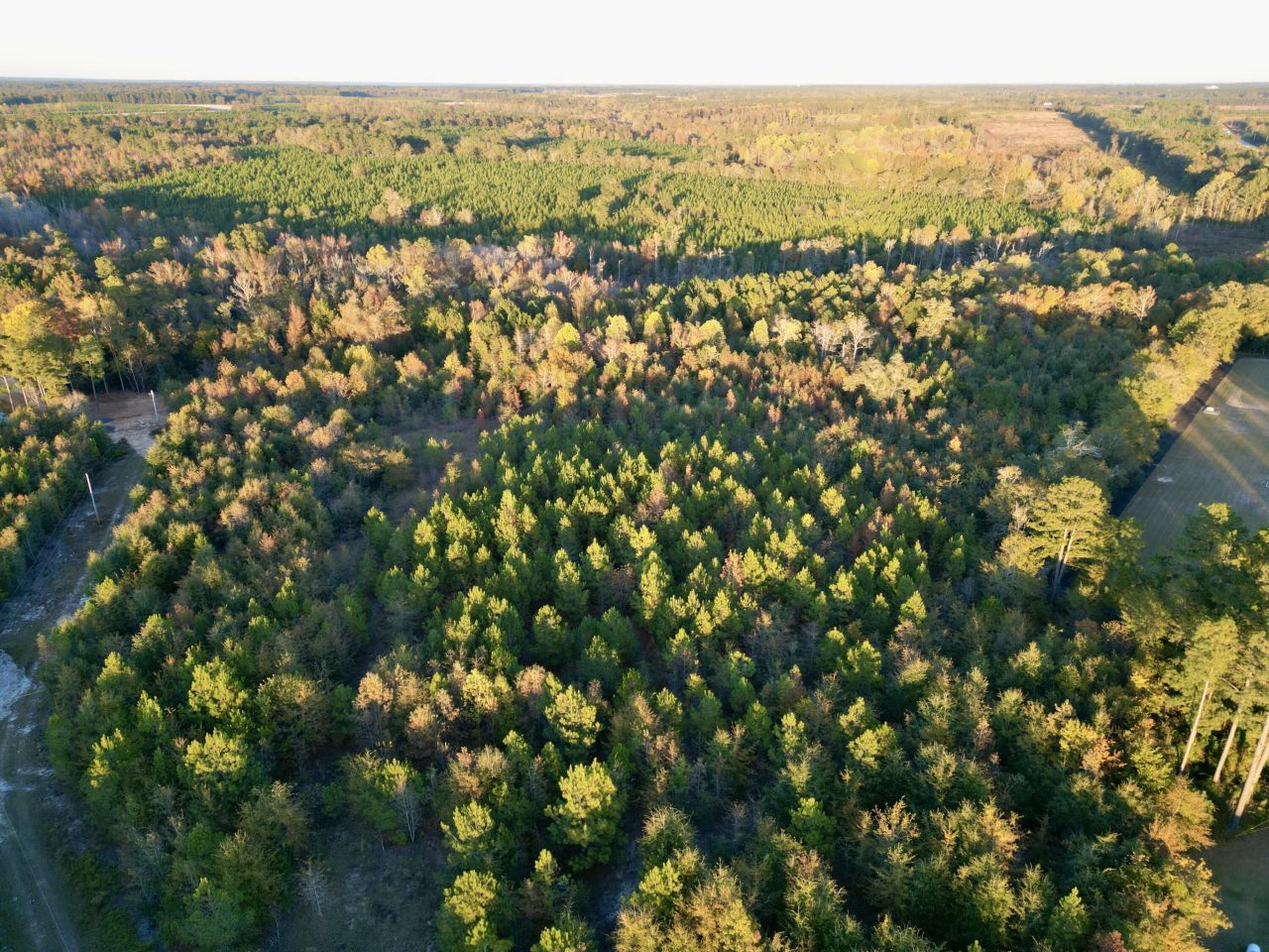 3021 Salley Road Photo 29