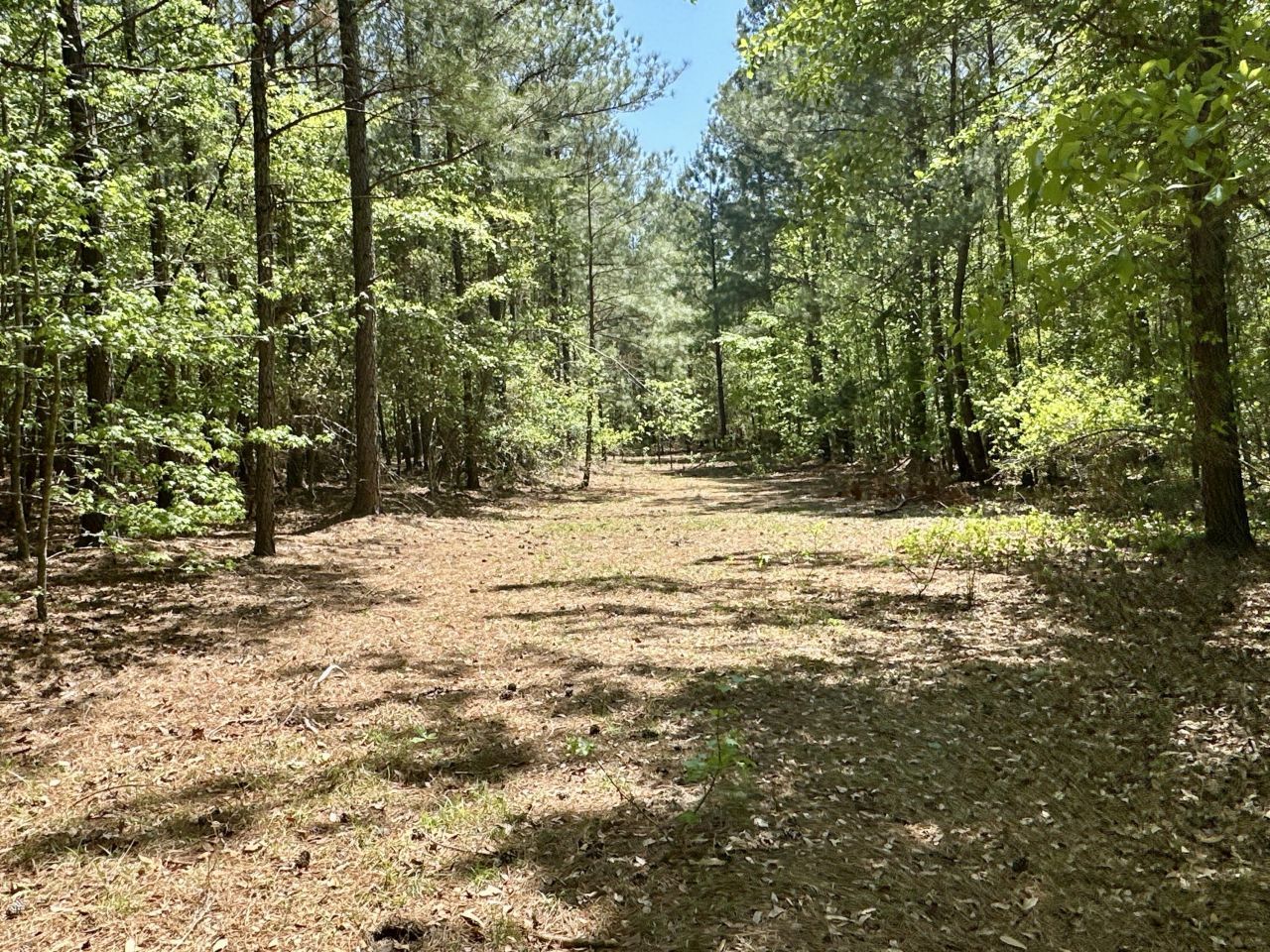 3021 Salley Road Photo 37