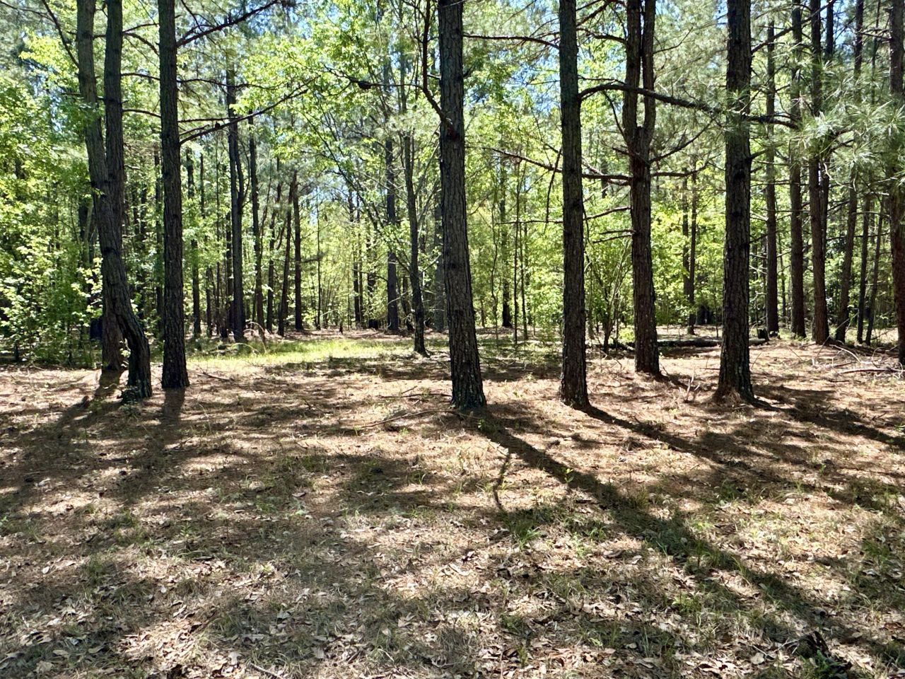 3021 Salley Road Photo 38