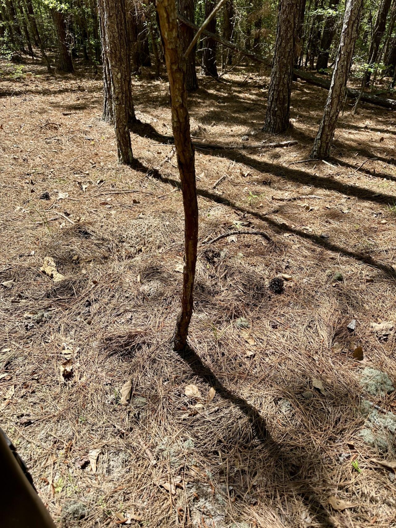 3021 Salley Road Photo 39