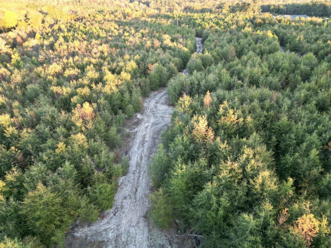 3021 Salley Road Photo 4