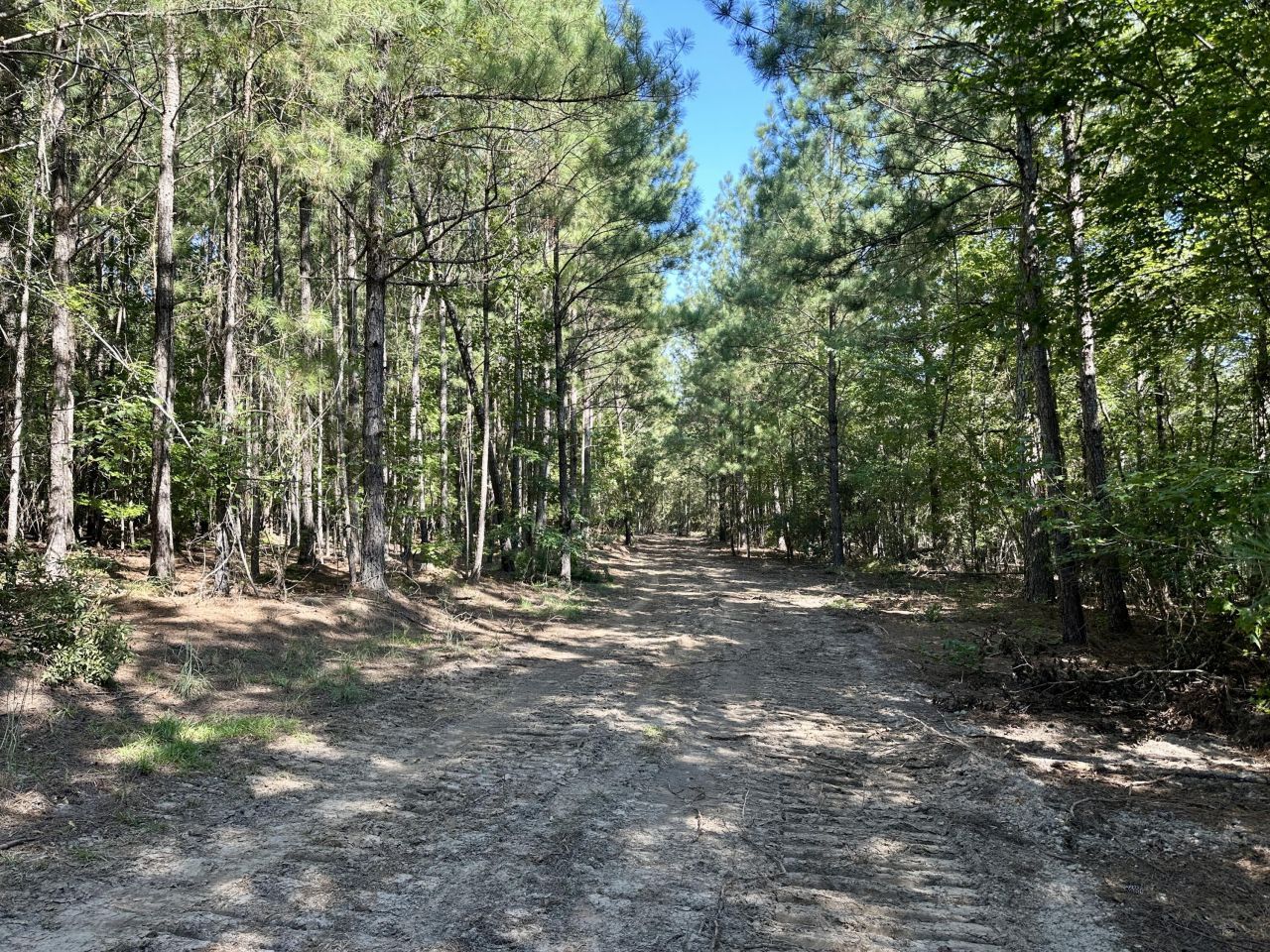 3021 Salley Road Photo 40