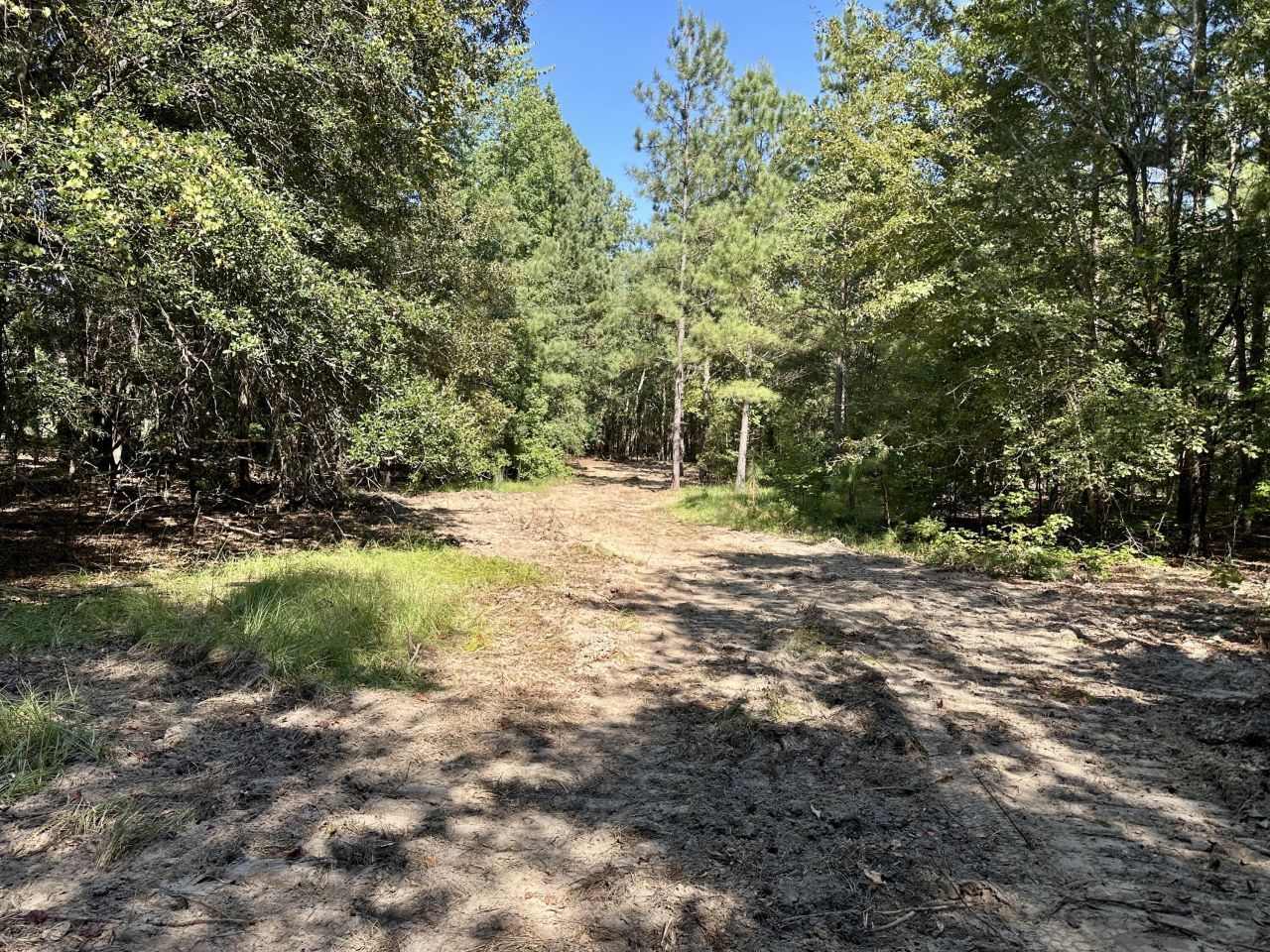 3021 Salley Road Photo 41