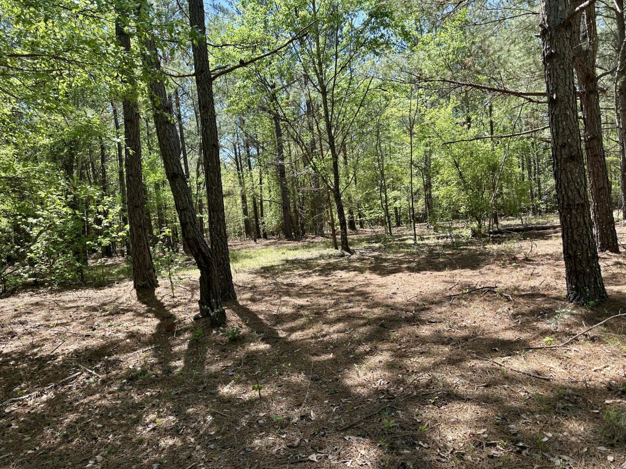 3021 Salley Road Photo 42