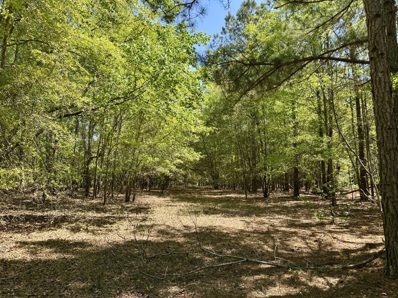 3021 Salley Road Photo 43