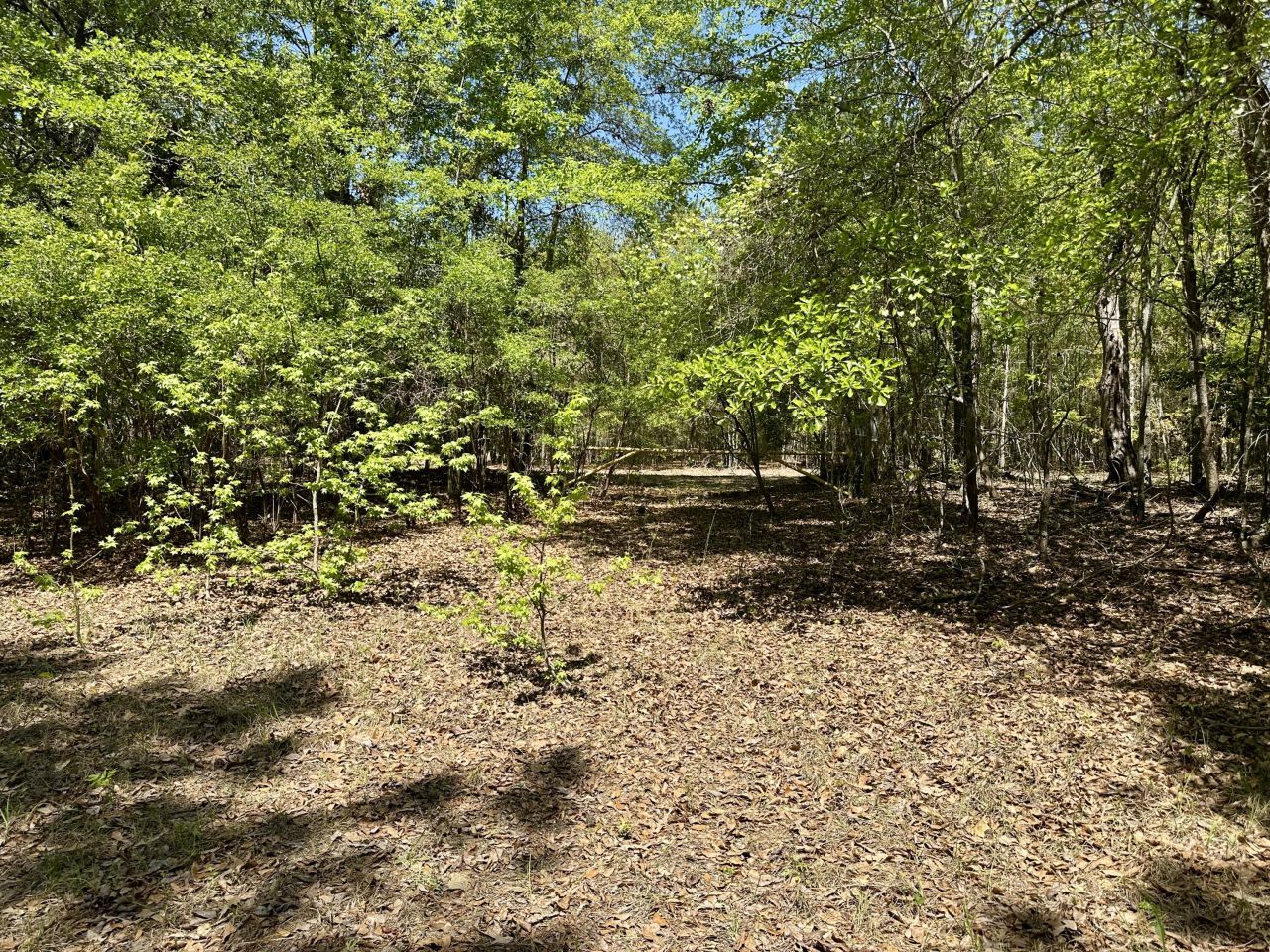 3021 Salley Road Photo 44