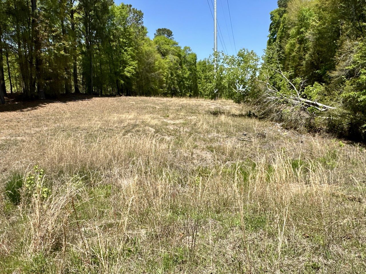 3021 Salley Road Photo 45