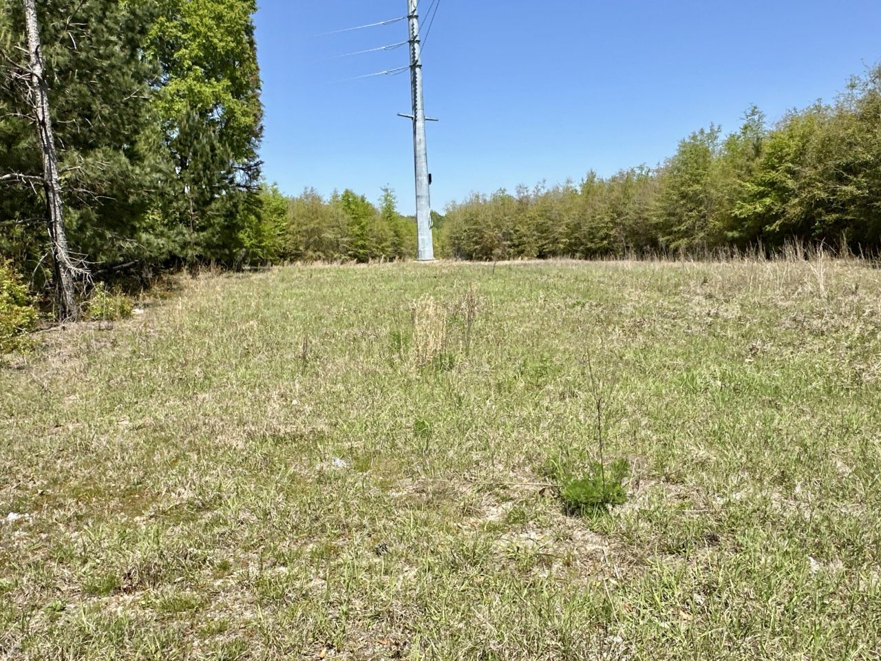 3021 Salley Road Photo 46