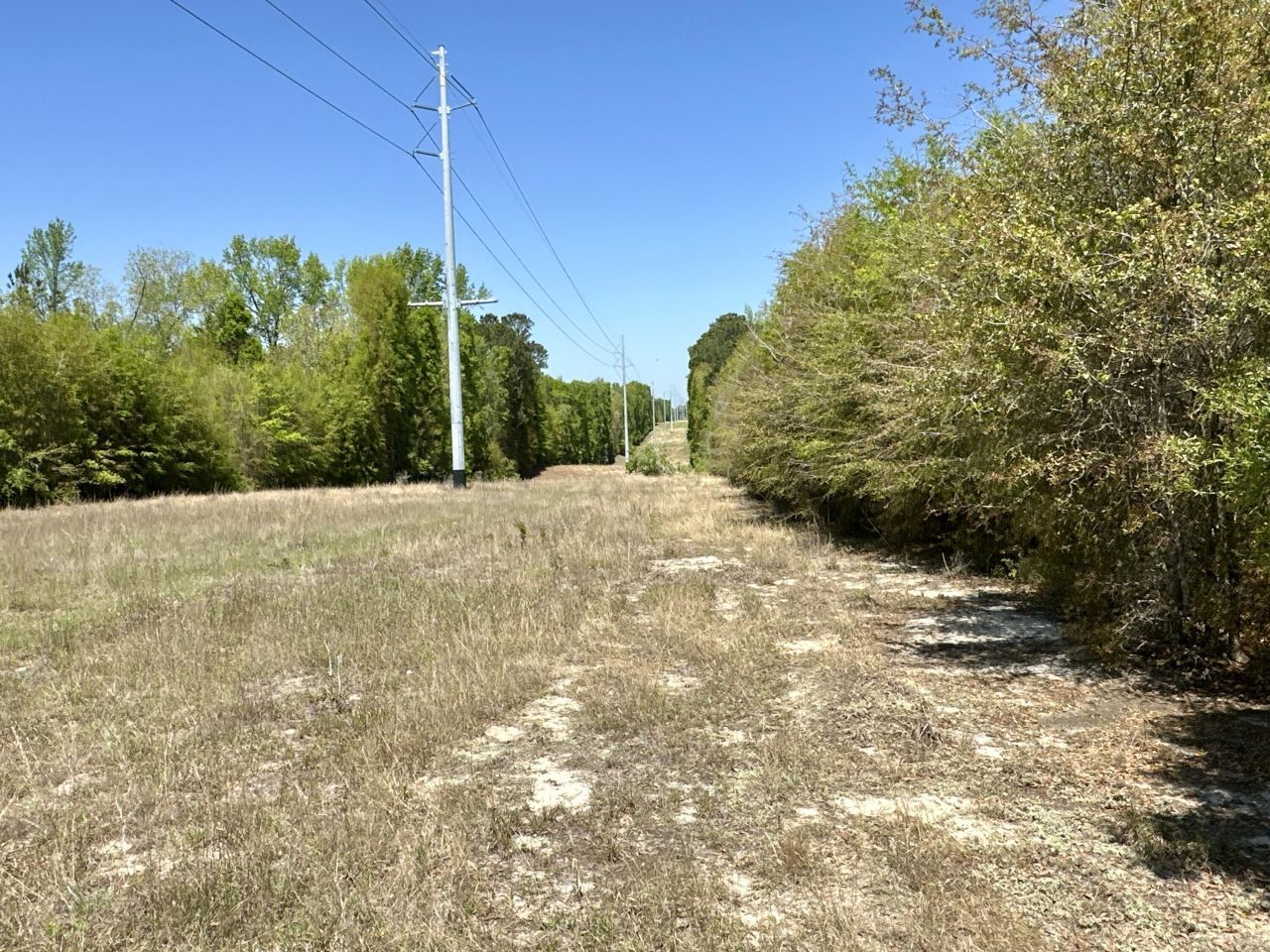 3021 Salley Road Photo 47