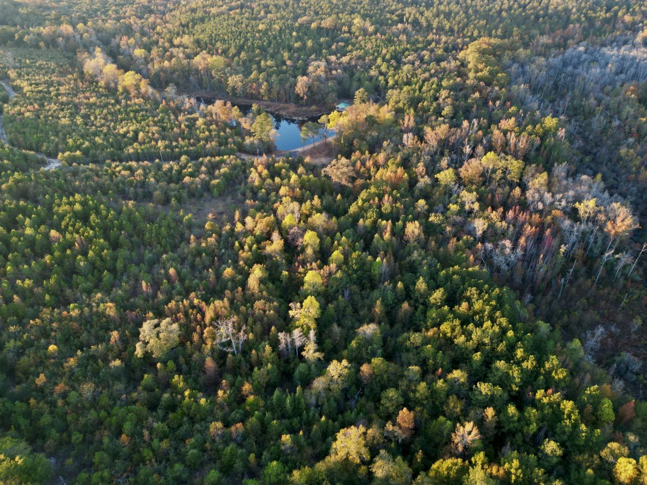 3021 Salley Road Photo 49