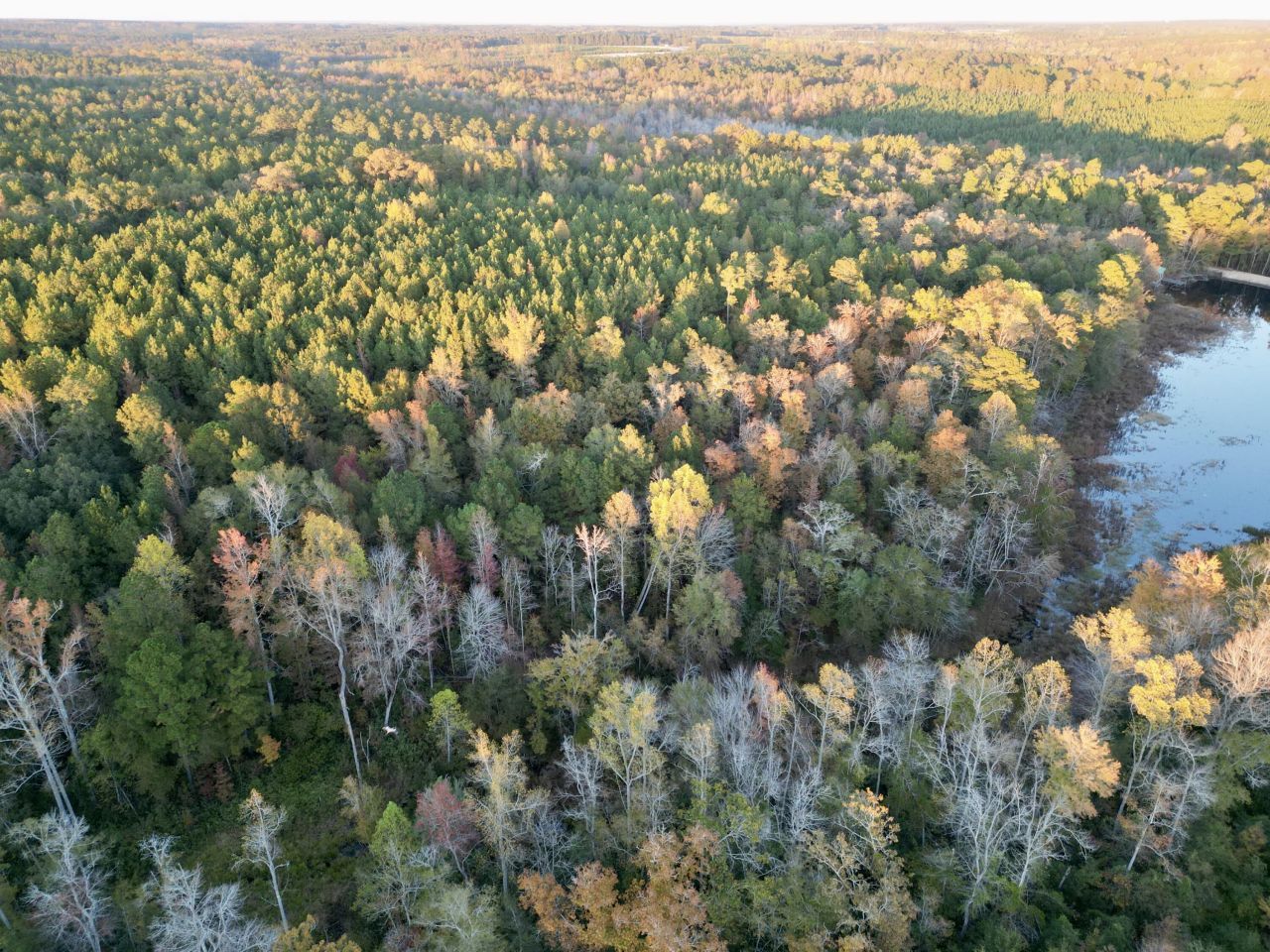 3021 Salley Road Photo 52