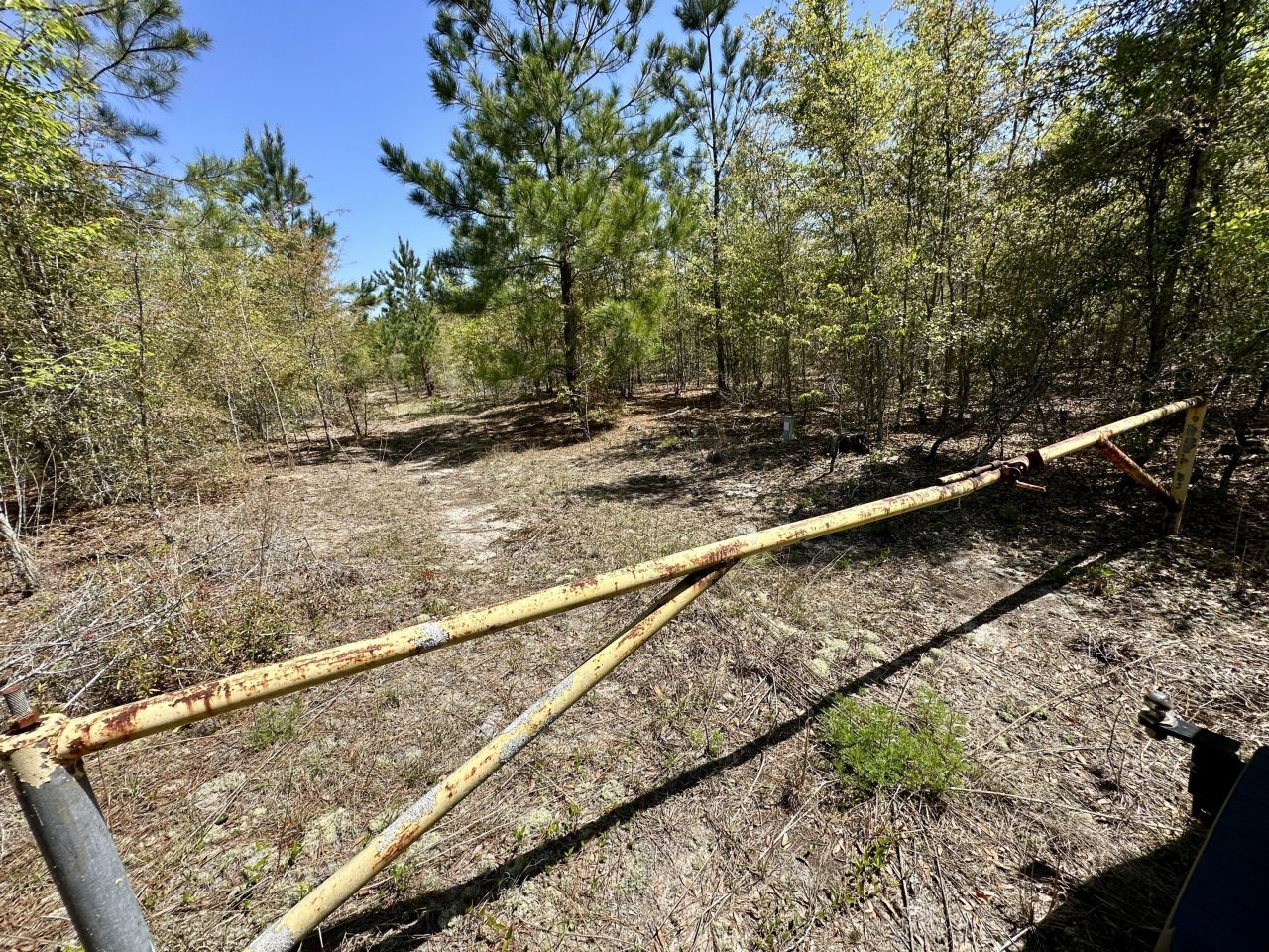 3021 Salley Road Photo 53