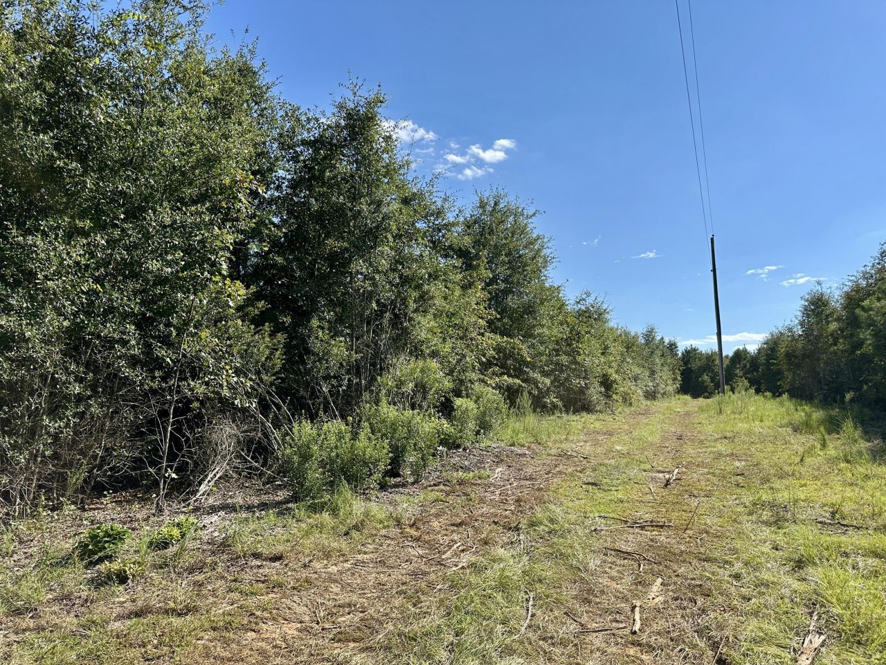 3021 Salley Road Photo 58