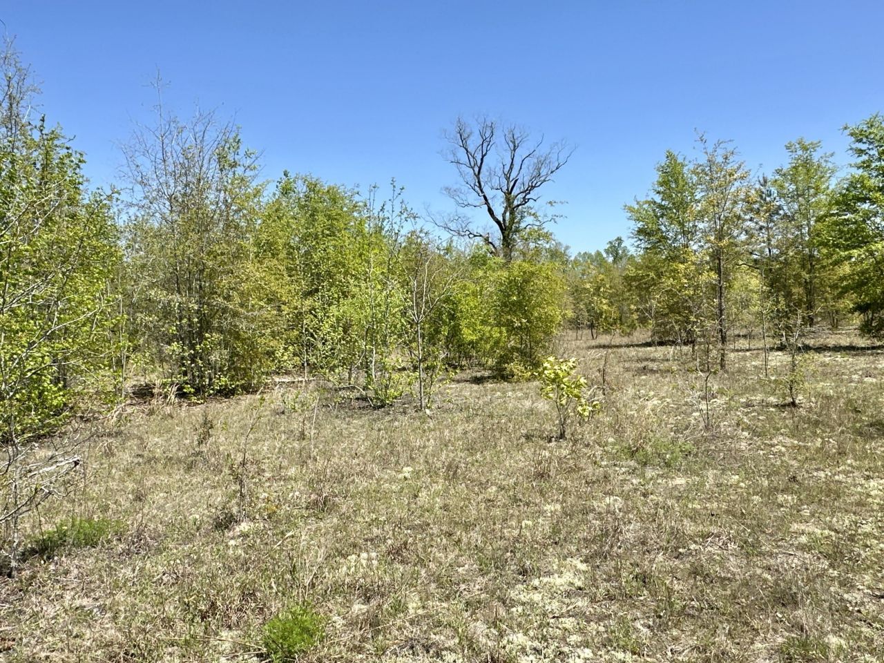 3021 Salley Road Photo 59