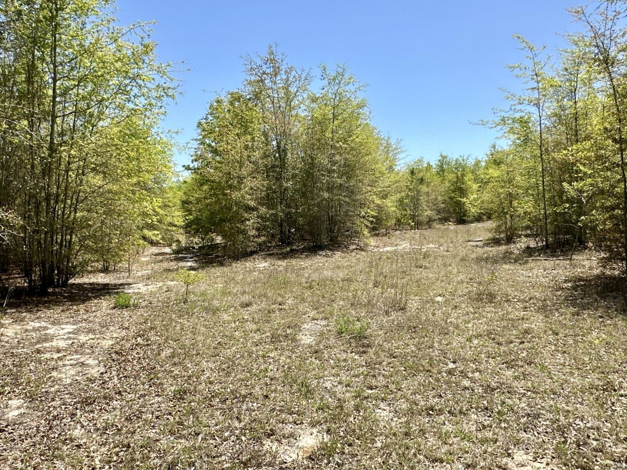 3021 Salley Road Photo 60