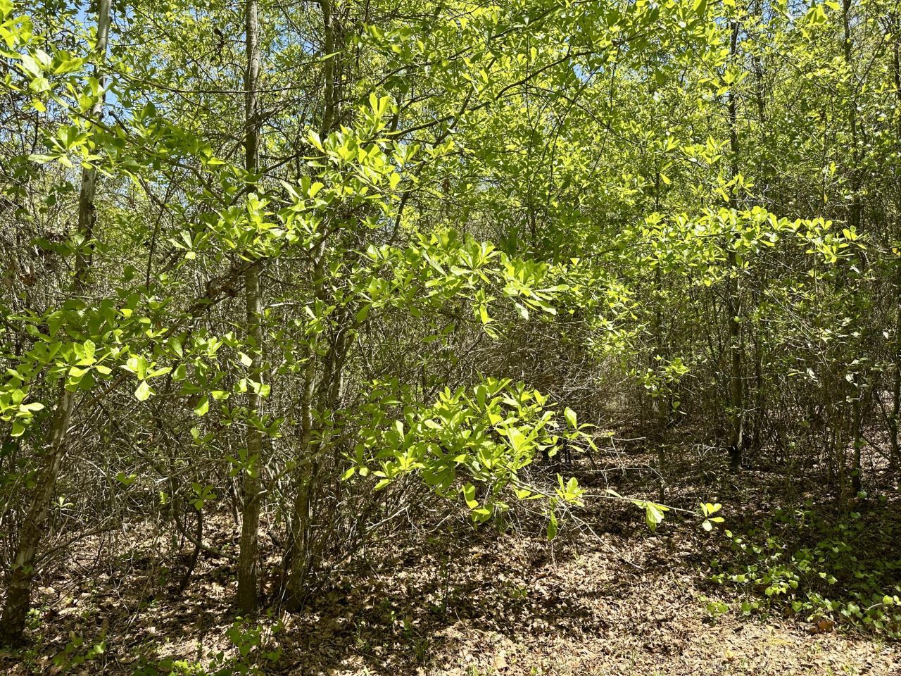 3021 Salley Road Photo 61